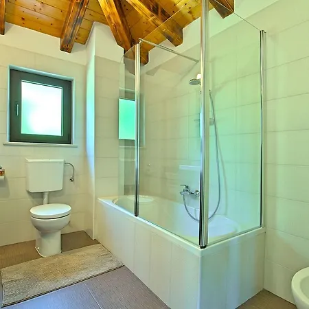 Stylish With Swimming Pool In Vizinada Vranje Selo