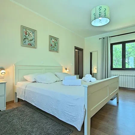Stylish With Swimming Pool In Vizinada