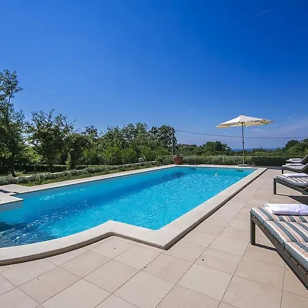 Villa Stylish With Swimming Pool In Vizinada